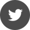 twitter-icon